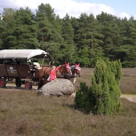 Heidehotel Bad Bevensen